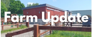 Photo of the school farm with 'farm update' written over it